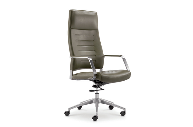 Ergonomic S-shaped backrest design