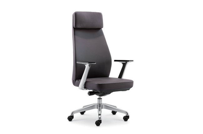 Backrest design with ergonomics